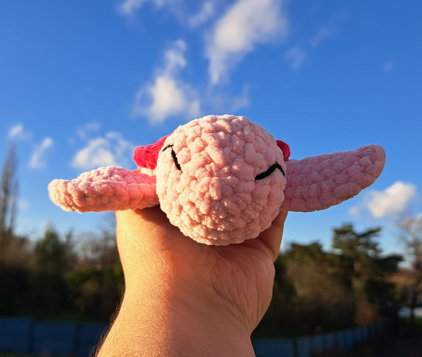 Moana la tortue