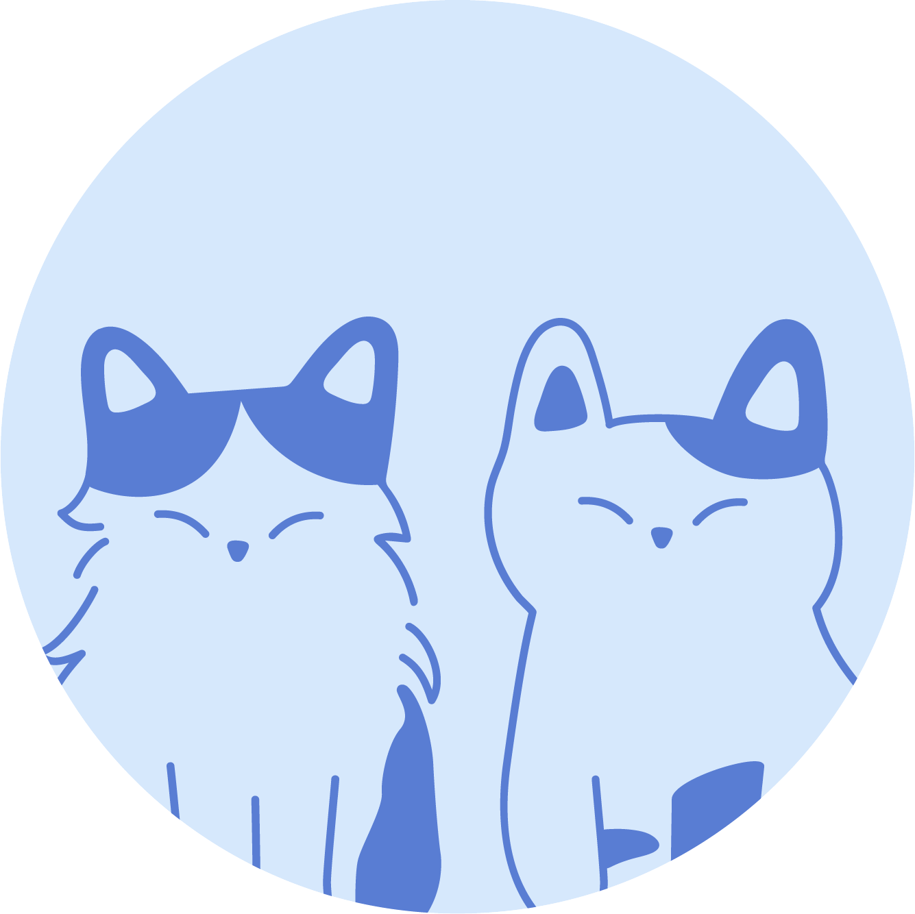 Commande Carmen Avila