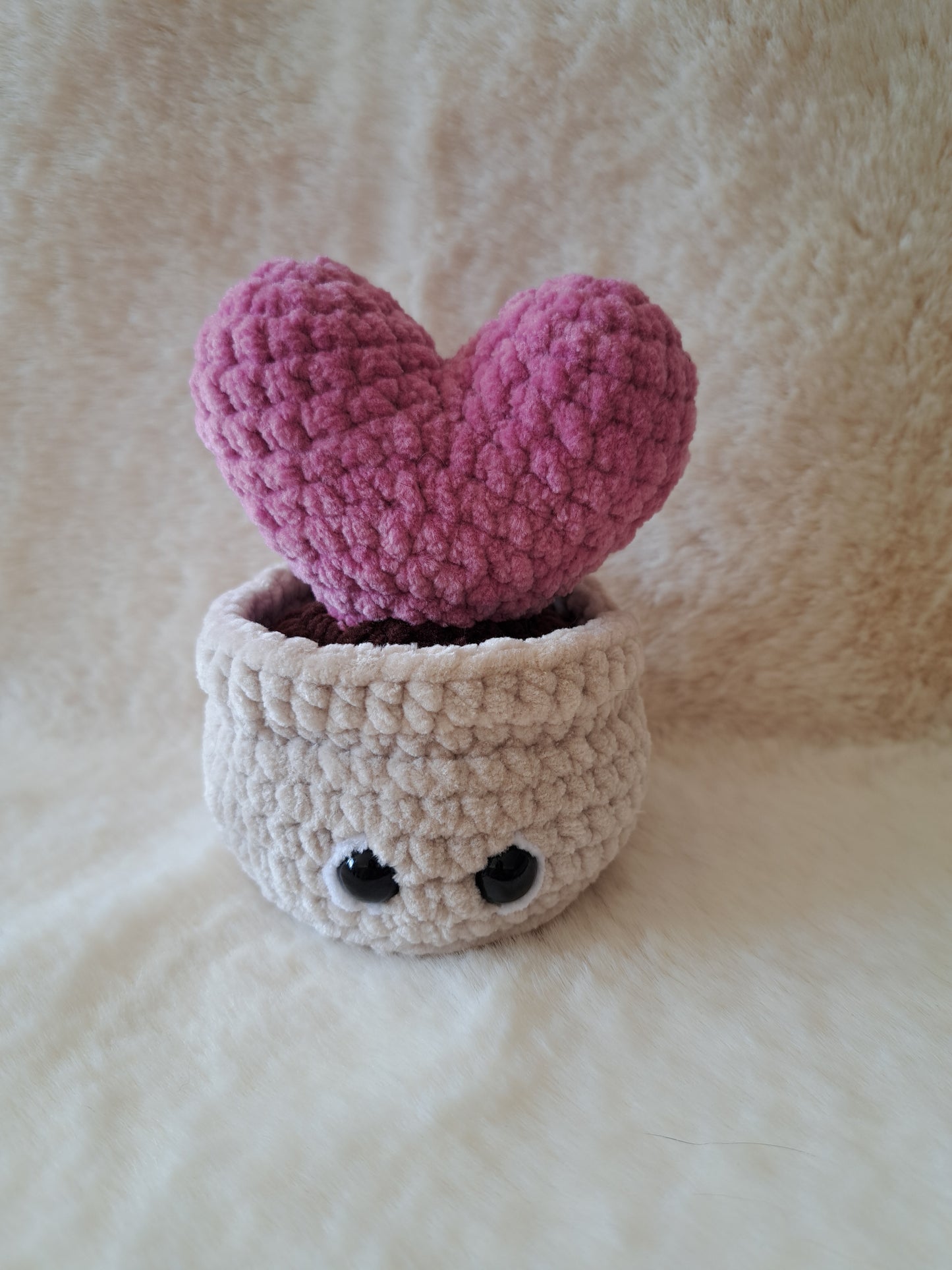 Cœur en pot ❤️