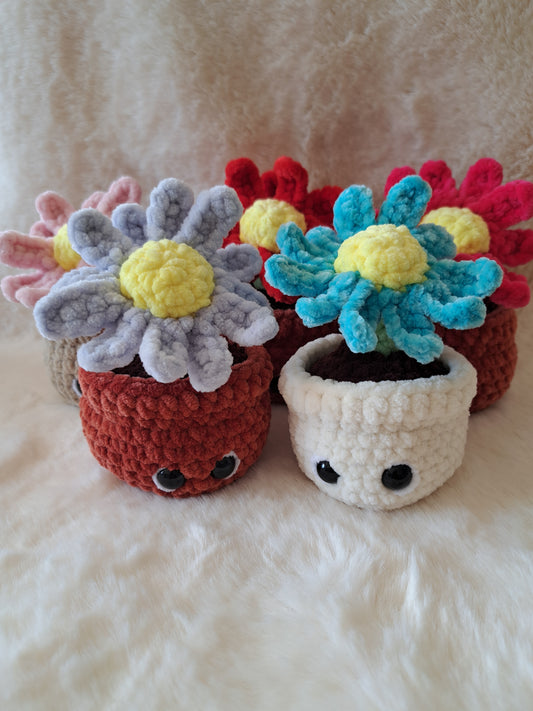 Fleur en pot 🌼