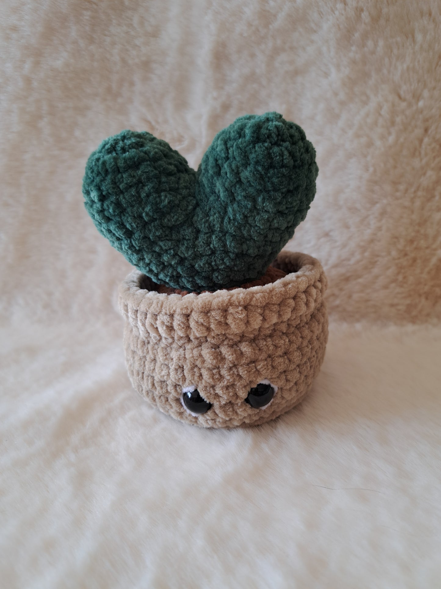 Cœur en pot ❤️